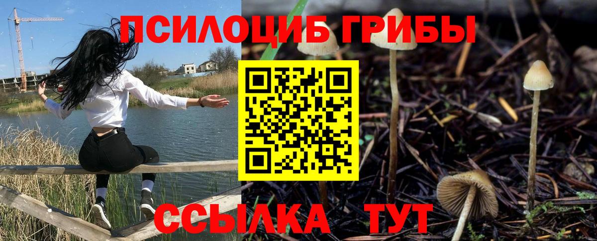даркнет сайт  Псилоцибиновые грибы ЛСД  Вход с VPN  Кулебаки 